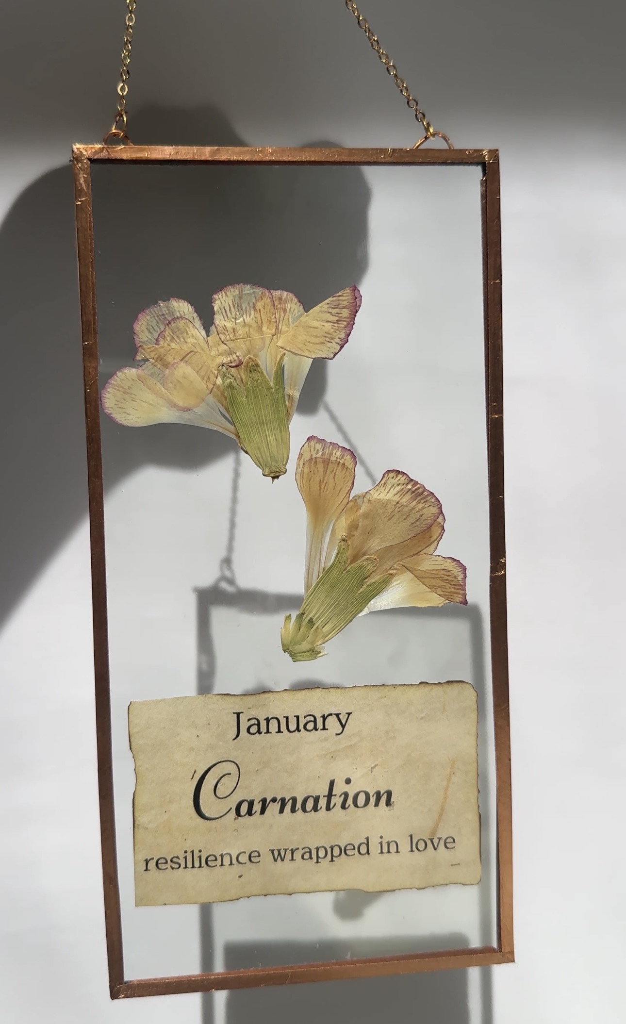 Birth Flowers Frames