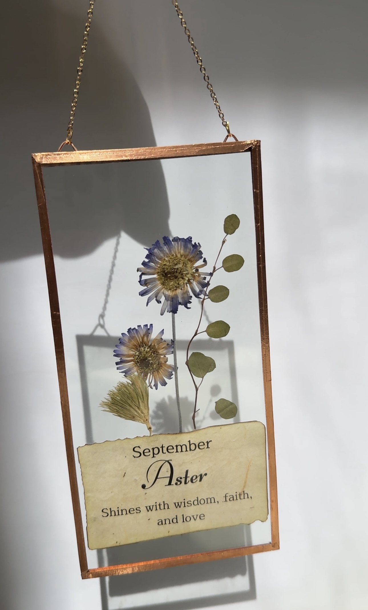 September Birth Flower
