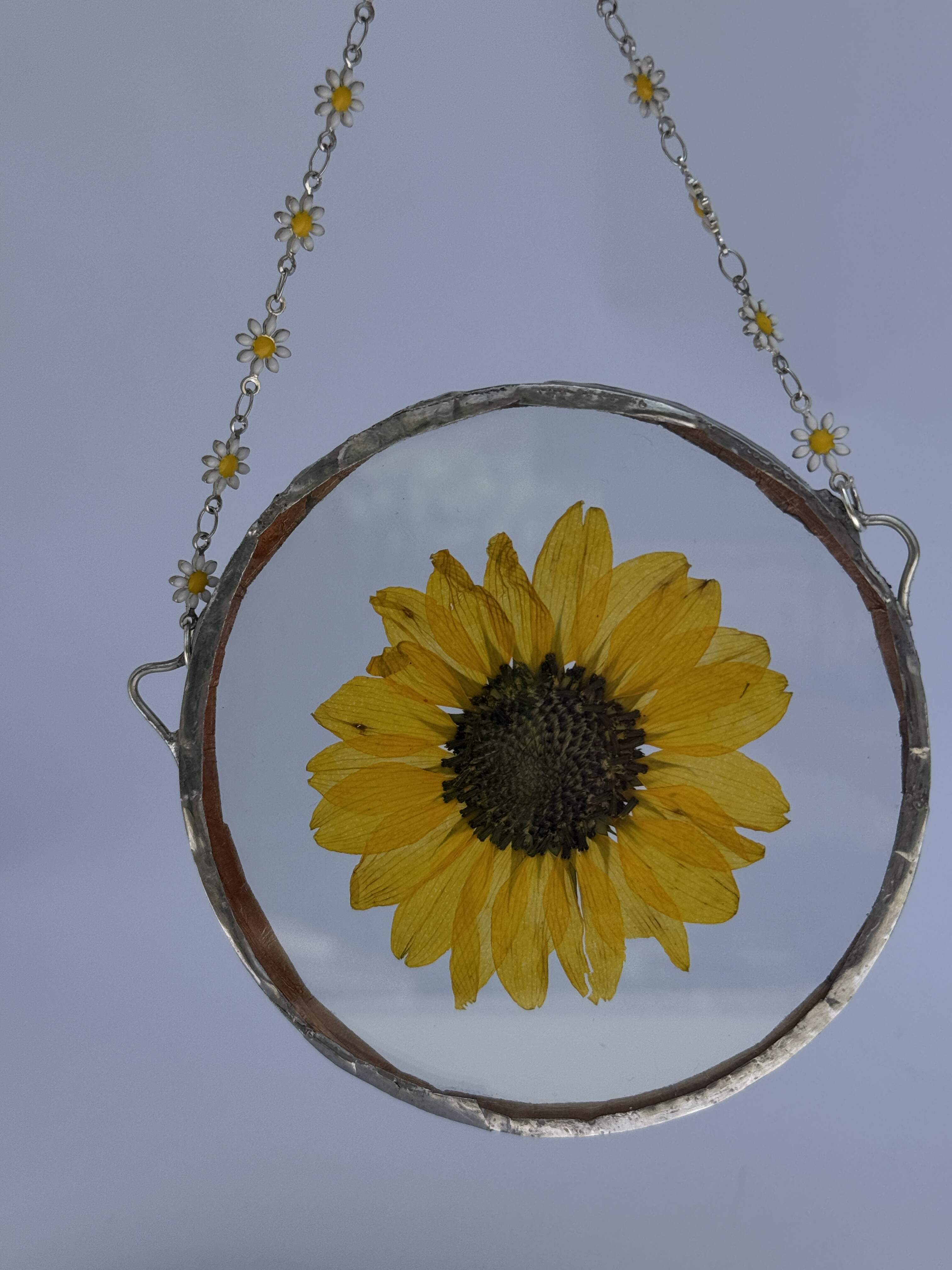 Pressed Sunflower Ornament 