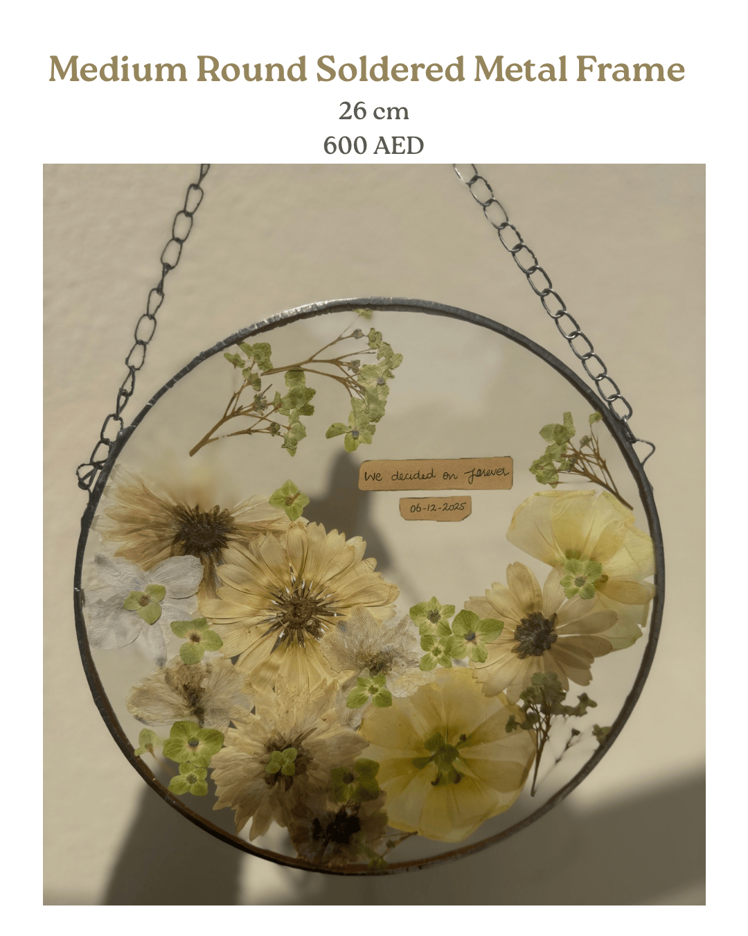 Size & Pricing