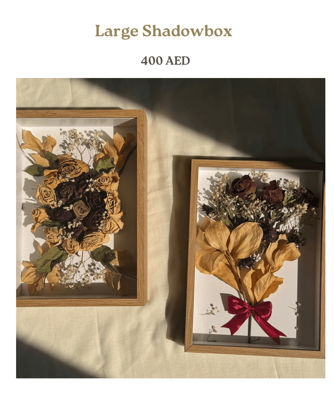Size & Pricing